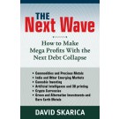 The Next Wave: How to Make Mega Profits with the Next Debt Collapse